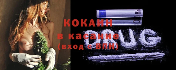 ГАЛЛЮЦИНОГЕННЫЕ ГРИБЫ Арсеньев