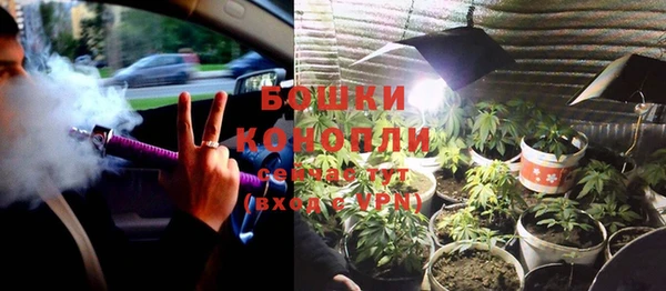 ГАЛЛЮЦИНОГЕННЫЕ ГРИБЫ Арсеньев