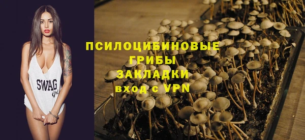ГАЛЛЮЦИНОГЕННЫЕ ГРИБЫ Арсеньев