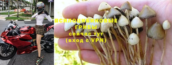 метадон Аркадак
